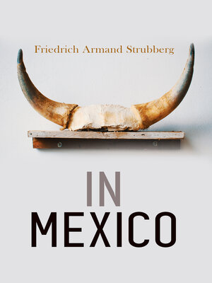 cover image of In Mexico